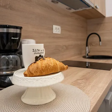 Palace Kolovare ザダル